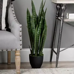 Sansevieria Floor Plant in Black Planter