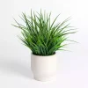 Seagrass Arrangement in White Pot