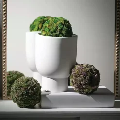 Sedum Succulent Orbs, Set of 3