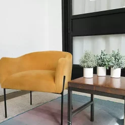 Succulent Arrangements in Ceramic Pots, Set of 3