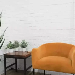 Succulent Arrangements in Ceramic Pots, Set of 3