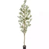 Tall Potted Olive Branch Tree, 82 in.