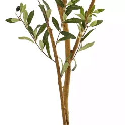 Tall Potted Olive Branch Tree, 82 in.