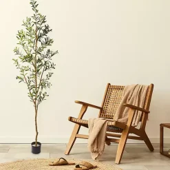 Tall Potted Olive Branch Tree, 82 in.