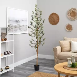 Tall Potted Olive Branch Tree, 82 in.