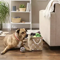 Taupe Trellis Paw Print Storage Basket, 14 in.