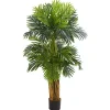 Triple Areca Palm Tree, 5 ft.