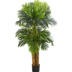 Triple Areca Palm Tree, 5 ft.