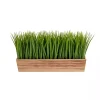 Vanilla Grass in Rustic Wood Planter
