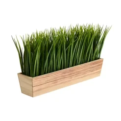 Vanilla Grass in Rustic Wood Planter
