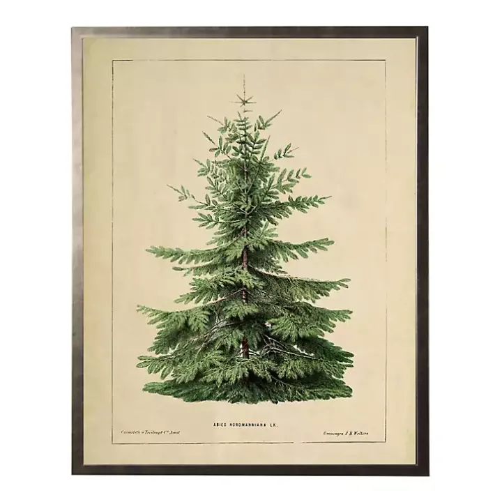 Vintage Fir Tree Framed Art Print