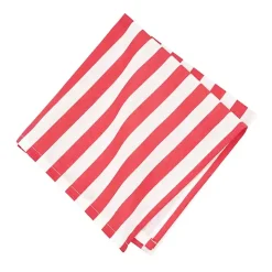 Whimsical Watermelon Striped Napkins, Set of 6