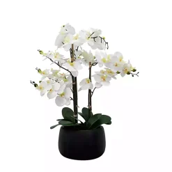 White Real Touch Orchid Arrangement in Black Pot
