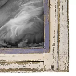 White Rustic Wooden Photo Frame, 8x10