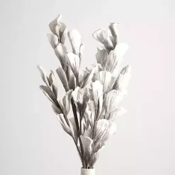 White Shell Leaf Stem