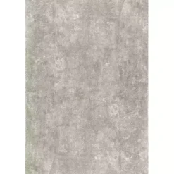 Whitlow Gray Shag Washable Area Rug, 6x9