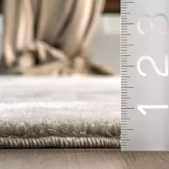 Whitlow Gray Shag Washable Area Rug, 8x10