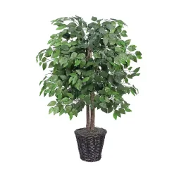 Wood Trunk Ficus Bush in Rattan Basket
