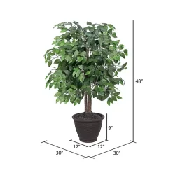 Wood Trunk Ficus Bush in Rattan Basket