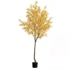 Yellow Maple Tree in Black Planter, 7 ft.