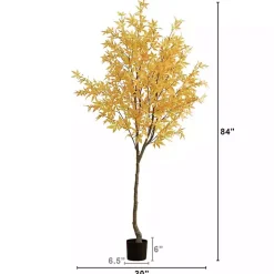 Yellow Maple Tree in Black Planter, 7 ft.