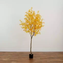 Yellow Maple Tree in Black Planter, 7 ft.
