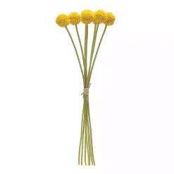 Yellow Pod Sprays, Set of 6